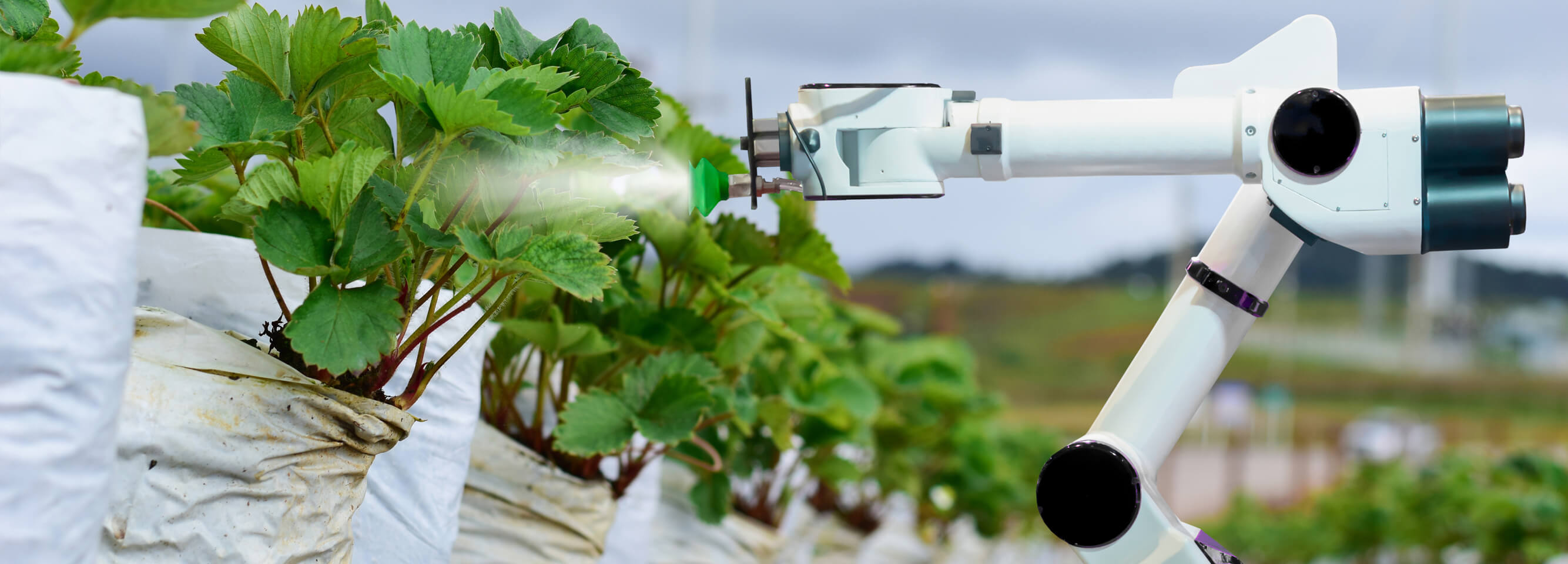 An agricultural robot for feeding the plants.